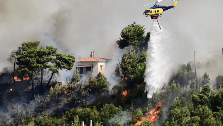 2024-09-08 16_13_57-Όσο η πόλη μπαίνει μέσα στο δάσος, τόσο η πόλη θα καίγεται _ Κοσμοδρόμιο - Opera